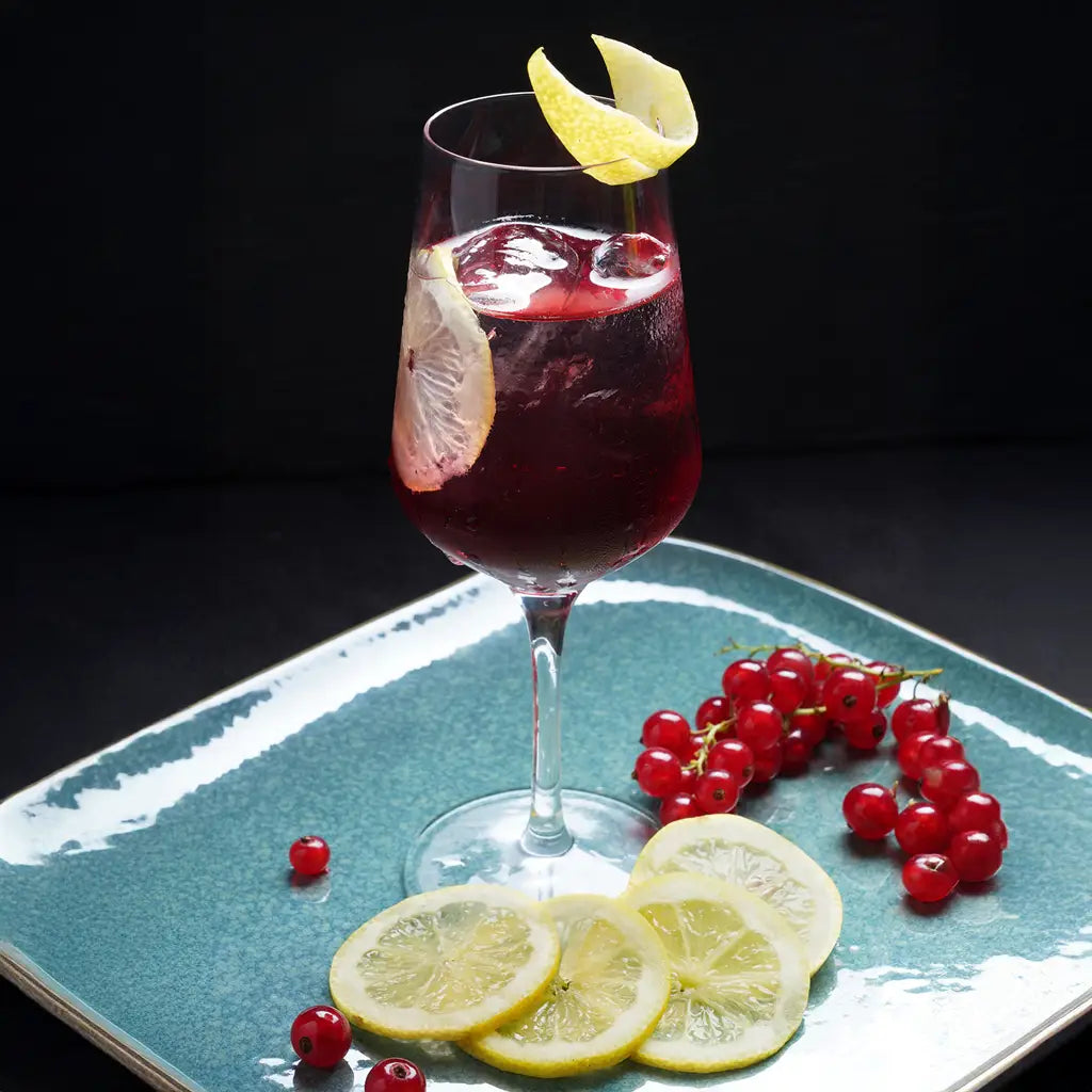 Johannisbeer Dry Tonic als fruchtiger Aperitif mit Zitrone und Johannisbeeren serviert