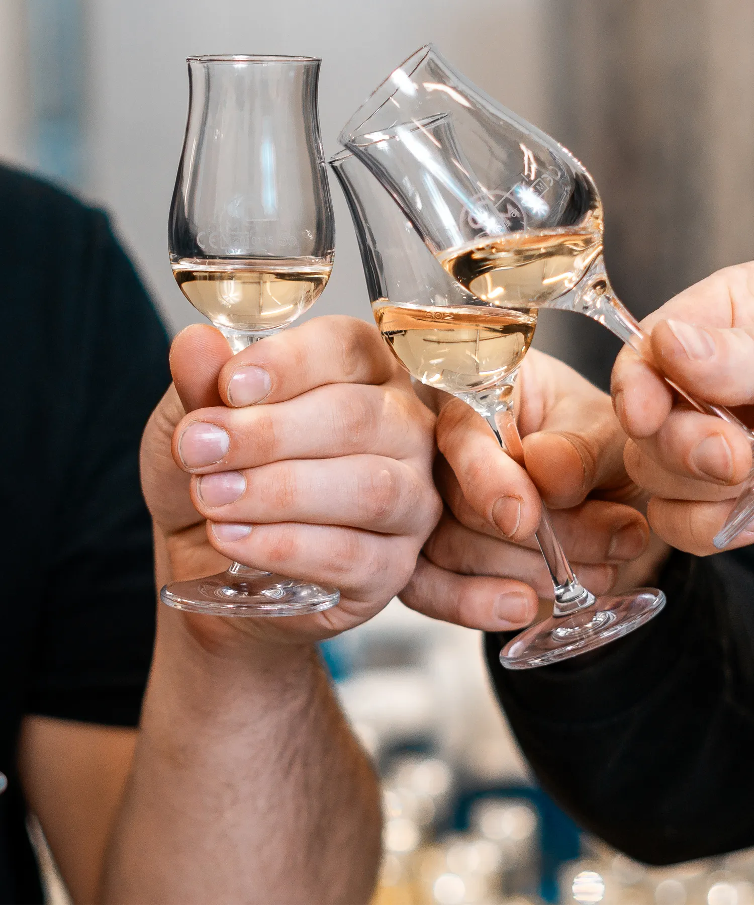 Gruppe stößt mit Drinks an als Einstieg in Events und Erlebnisse der Leipziger Spirituosen Manufaktur
